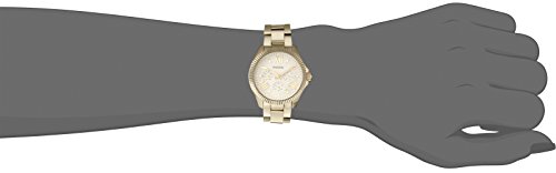Fossil Women's AM4570 Cecile Gold-Tone Stainless Steel Watch