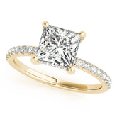 Opulent Single Row Cut Center Princess Diamond Engagement Ring — 9K/18K Gold & Platinum