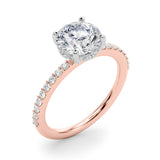 Classic Hidden Halo Rd Single Row Shared Pr Round Diamond Engagement Ring — 9K/18K Gold & Platinum