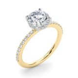 Classic Hidden Halo Rd Single Row Shared Pr Round Diamond Engagement Ring — 9K/18K Gold & Platinum