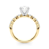 Majestic Single Row Shared Pr Eng Ring Round Diamond Engagement Ring — 9K/18K Gold & Platinum