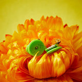 LOX Colour Collection Locking Earring Backs – Green | Secure Hypoallergenic Replacement Earring Stoppers