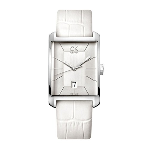 Calvin Klein Men's 'Window' Stainless Steel Swiss Quartz Watch