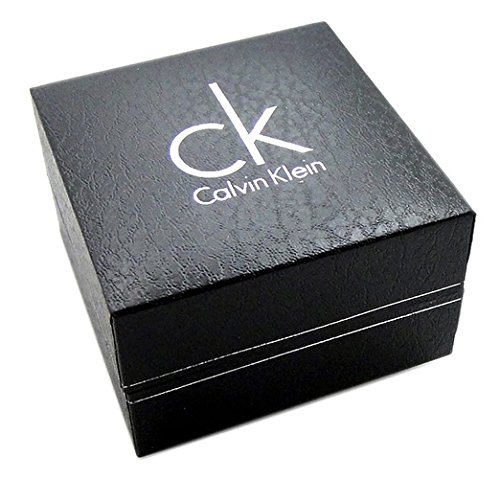 Calvin Klein Men's 'Window' Stainless Steel Swiss Quartz Watch