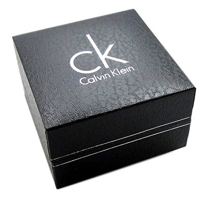Calvin Klein Men's 'Window' Stainless Steel Swiss Quartz Watch