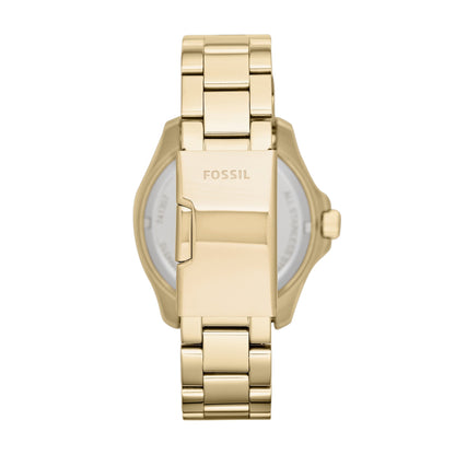 Fossil Spring 2014 Am4510 40mm Gold Tone Steel Bracelet & Case Mineral Women S Watch