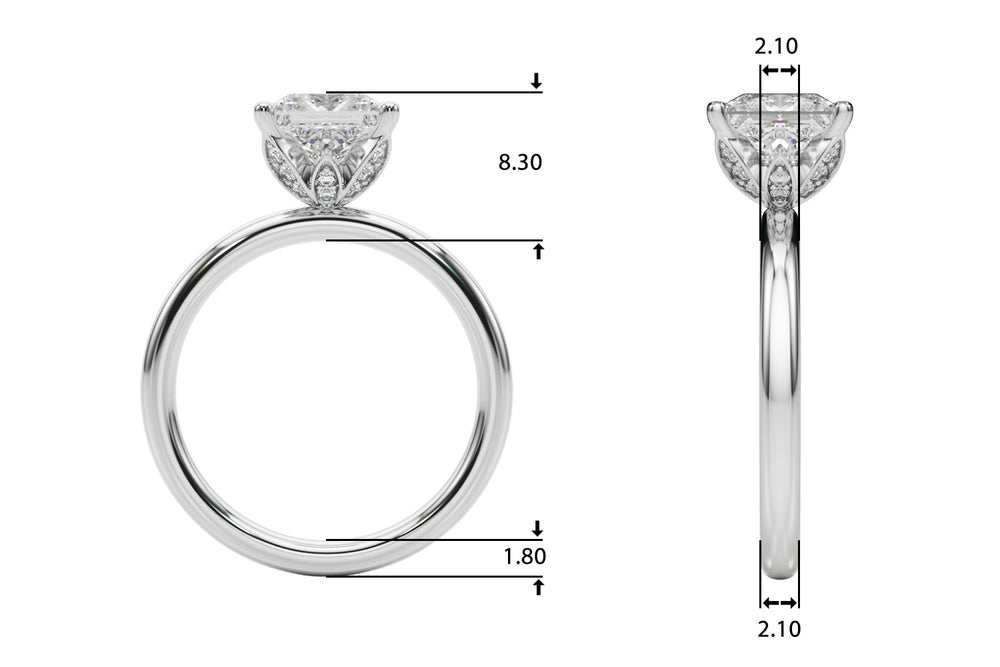 Celestial Sidestone Princess Diamond Engagement Ring — 9K/18K Gold & Platinum