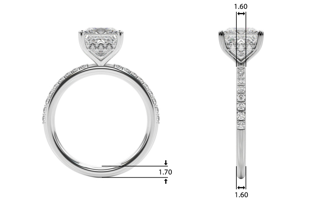 Signature Sidestone Princess Diamond Engagement Ring — 9K/18K Gold & Platinum