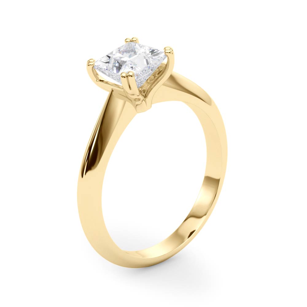 Regal Double Prong Cut Engagement Ring Princess Diamond Engagement Ring — 9K/18K Gold & Platinum