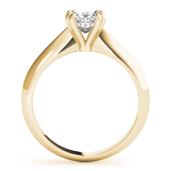 Regal Double Prong Cut Engagement Ring Princess Diamond Engagement Ring — 9K/18K Gold & Platinum