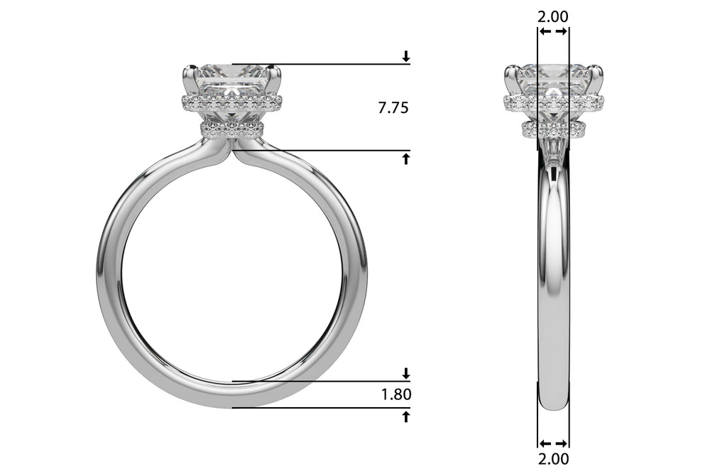 Dazzling Hidden Halo Cut Center Single Row Princess Diamond Engagement Ring — 9K/18K Gold & Platinum