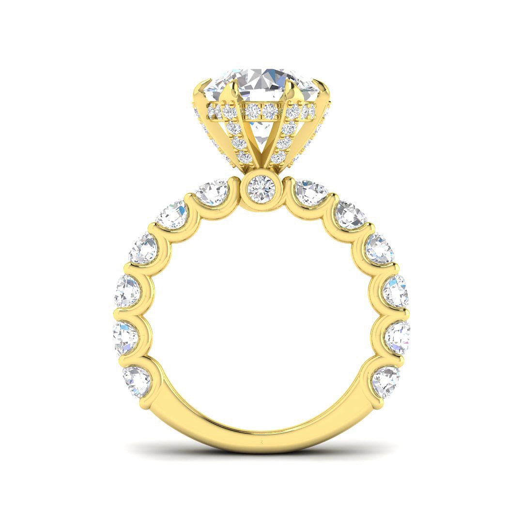 Luxury round diamond ring with diamond band detailing